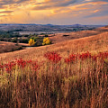 Autumn In The Tallgrass